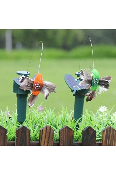 Choice1 زينة حديقة الطيور تعمل بالطاقة الشمسية، فراشات راقصة ترفرف وطيور طنان...