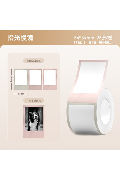 Choice11 style 21 (Photo Printing Paper) Niimbot Thermal Photo Cardboard Pape...