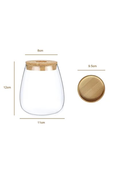 Choice A Modern Glass Vase with Wood Lid Base - for Plant Propagation, Home O...