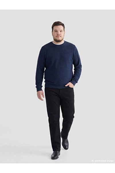 LC Waikiki 779 Regular Fit Men's Jean Pants