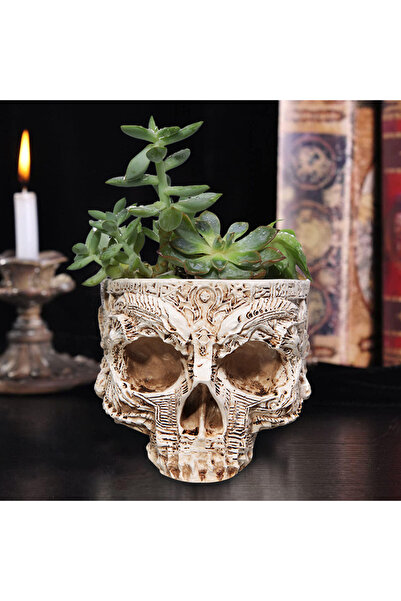 Choice Default Halloween Skull Flower Pot Gothic Skeleton Planter Container O...