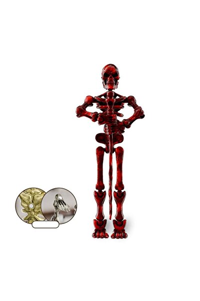 Choice5 Red Mini Medieval Skeleton Figurines Small Halloween Skeleton For Hom...