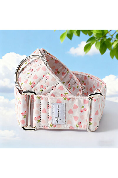 Choice4 XS（old） Pink Martinagle Wide Adjustable Dog Collar, Soft Patterned An...