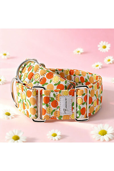 Choice طوق مارتيناجل برتقالي عريض قابل للتعديل للكلاب، مقاس XS (قديم)، طوق نا...