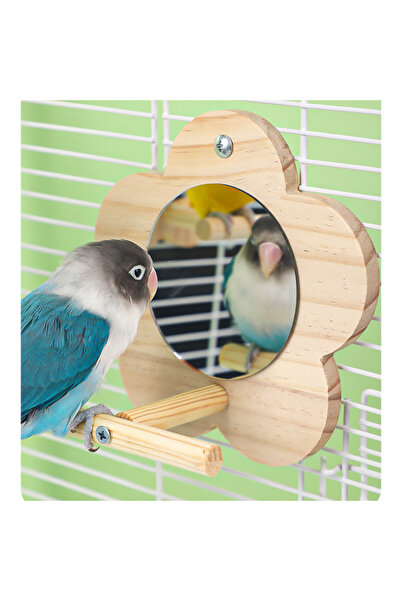 Choice S A Bird Wooden Mirror Interactive Play Toy With Perch For Small Parro...
