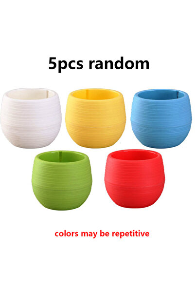 Choice1 ٥ قطع عشوائية من ٥/١٠/٢٠ قطعة من أواني الزهور الصغيرة للنباتات العصار...