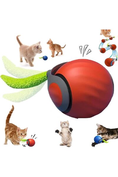 choice2 كرة لعبة تفاعلية برتقالية اللون من ستايل 1: لعبة ذيل متذبذب قابلة لإع...