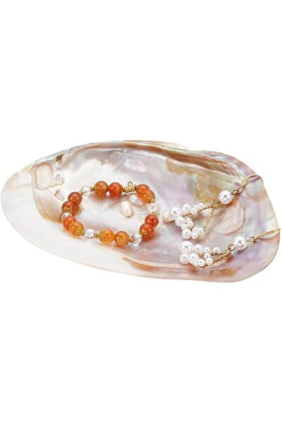 Choice AECH-26795 صينية مجوهرات من الصدف الطبيعي، قطعة واحدة، حامل خواتم، صين...