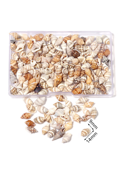 choice2 مجموعة أصداف بحرية حلزونية صغيرة من النمط K، 74-77 قطعة، علبة واحدة، ...