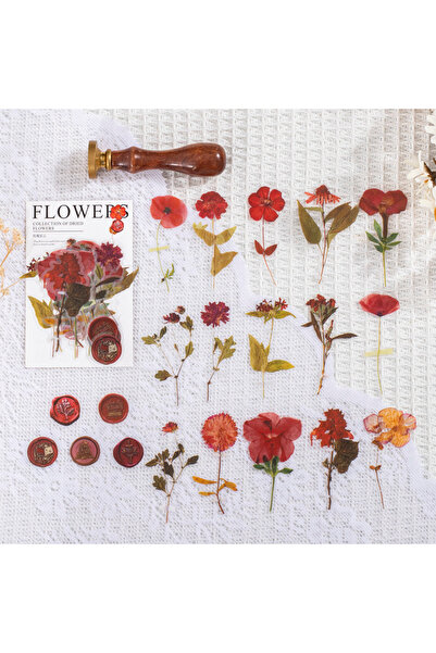 Choice4 440 قطعة/عبوة ملصقات عتيقة من أوراق الزهور المجففة، ديكور جمالي وإبدا...