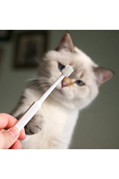 choice2 WHITE Cat Toothbrush Soft Hair Brush for Cats Mouth Cleaning Cat Brus...
