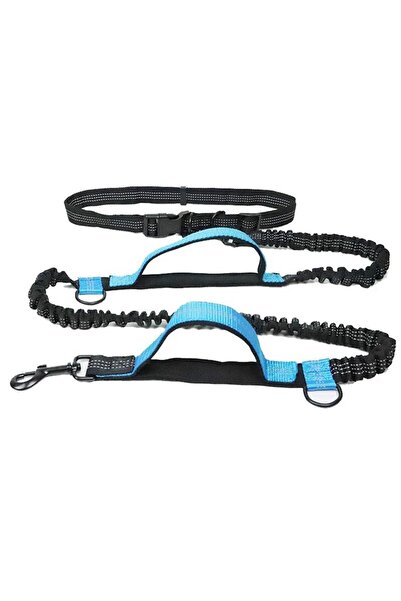 Choice1 blue Pet leash portable running reflective double retractable dog lea...