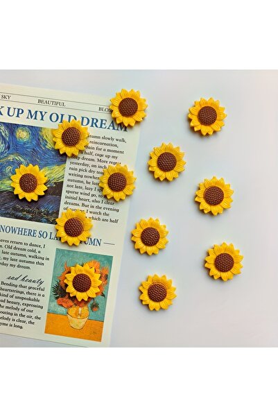 Choice 10 قطع من مغناطيسات الثلاجة البلاستيكية بيضاوية الشكل على شكل زهرة عبا...