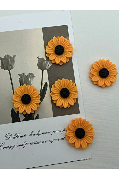 Choice 5 قطع من مغناطيس عباد الشمس المصنوع من الراتنج، منظم قوي للمطبخ والثلا...