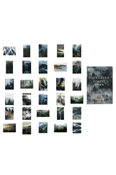 Choice A 30pcs 30-Piece Nature Forest Theme Sticker Pack, Versatile Woodland ...