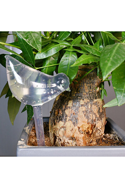 Choice1 ٥ قطع (٥/١٠ عبوات) كرات ري ذاتية على شكل طيور، مثالية لري الزهور تلقا...