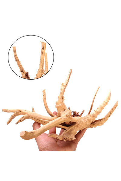 Choice1 قطعة واحدة من جذع شجرة طبيعي بطول 20 سم، مناسبة لأحواض أسماك الزينة.