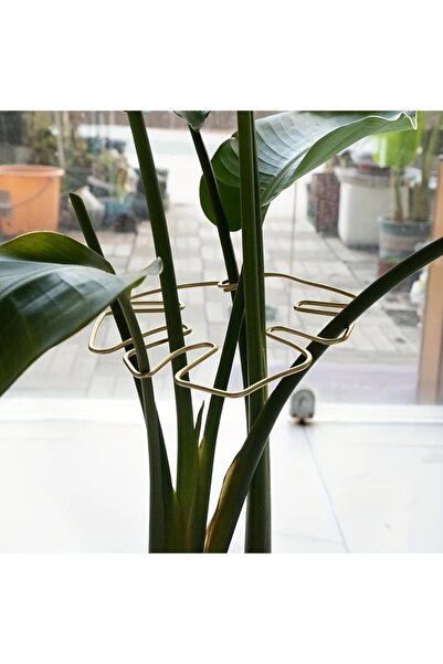 Choice 1Pc Golden Large hanging plant stand, iron hooks, suitable for flowerp...