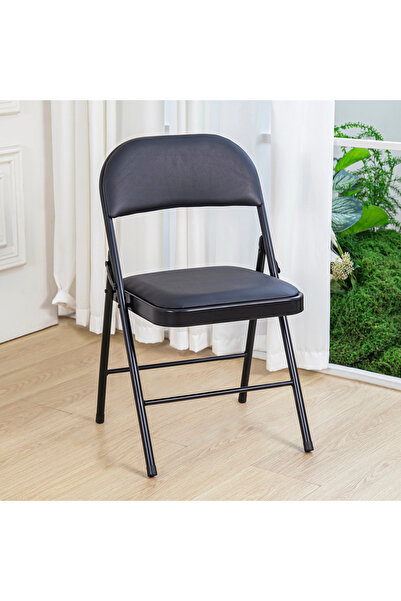 Generic Alex NXT Folding Chair