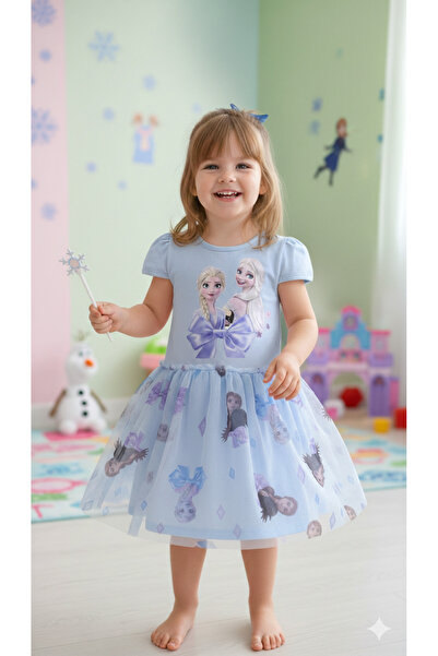 ALYAKİDS Girl's Frozen Elsa Anna Minnie My Melody Printed Tulle Dress