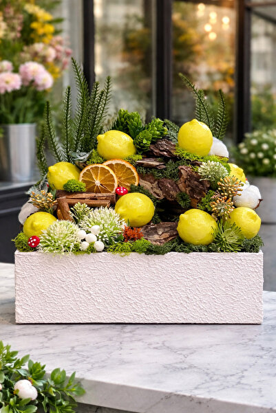 Derin Düşler El Yapımı Masaüstü Dekoratif Çiçek Bahçe Ahşap Saksılı Limon Led...