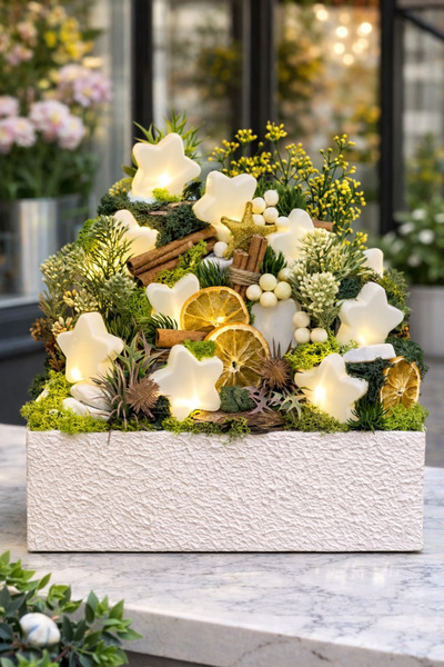 Derin Düşler El Yapımı Masaüstü Dekoratif Çiçek Bahçe Ahşap Saksılı Yıldız Le...