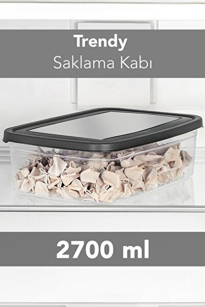 Meleni Home Organizator la modă pentru frigider - Container de depozitare pen...