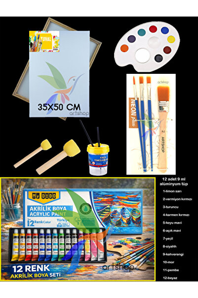 Artshop Südor 12X9 ml Akrilik Boya, 35x50 cm Tuval NO:2 Zemin Fırçalı Set, Po...
