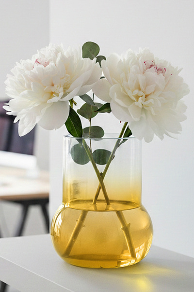 Oduman Dekoratif Elma Formlu Şeffaf Cam Vazo - Minimalist Çiçek Vazosu 11 CM ...