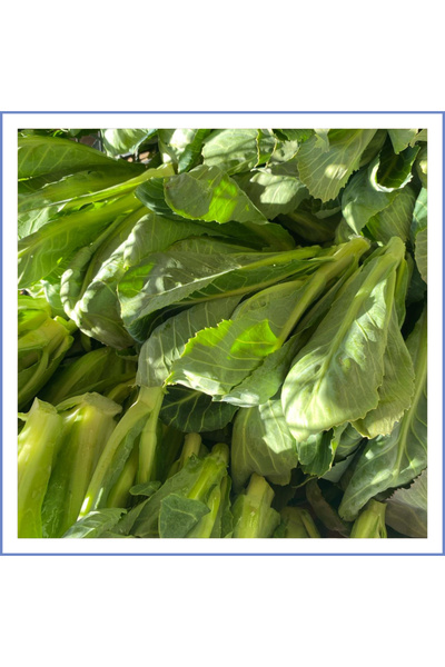 Sade Aile Cibes Otu (1000 Gr.)