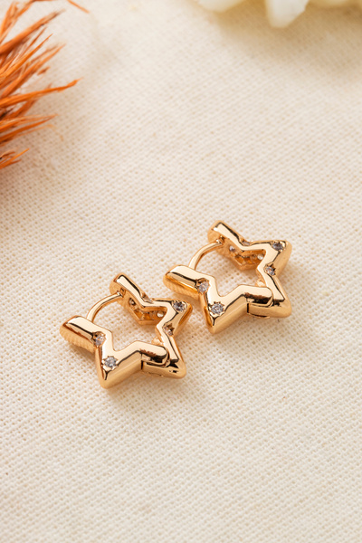 Elika Silver Zirkon Taşlı 14K Altın Kaplama Yıldız Küpe