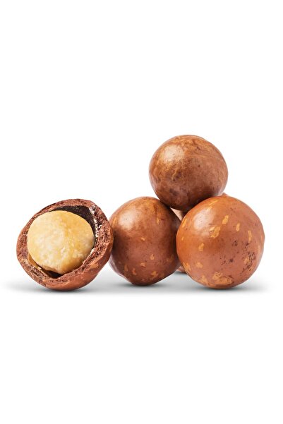 Çerezyolu Kavrulmuş Kabuklu Makademya Fındığı 250 gram