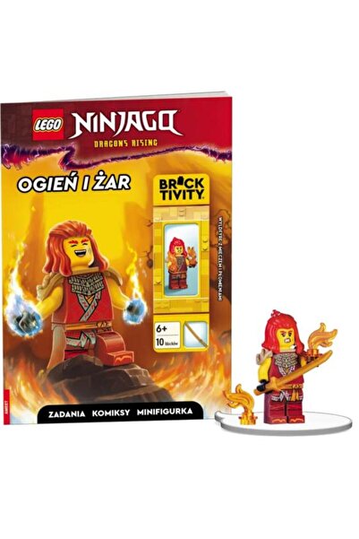 LEGO Ninjago Fire and Embers book
