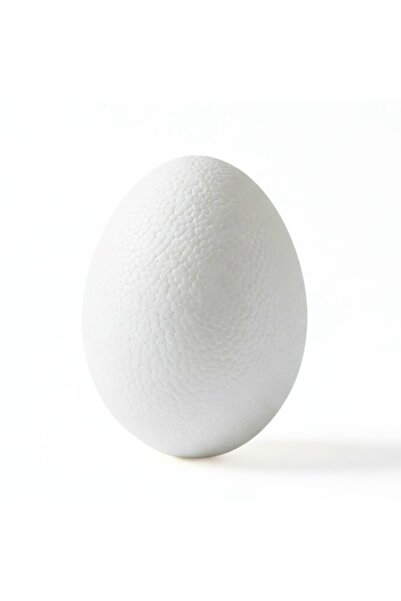 Colorarte Δημιουργικά αξεσουάρ - Πολυστυρένιο HD - αυγό, ασπράδι, 4x6cm,