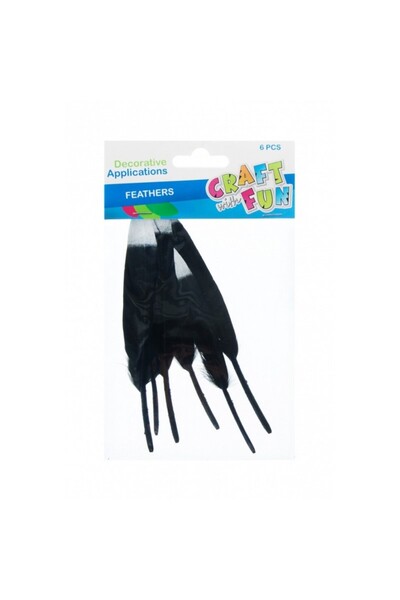Craft with Fun Accesorii creatie - pene, negru, argintiu, 12-15cm, set 6 buc,...