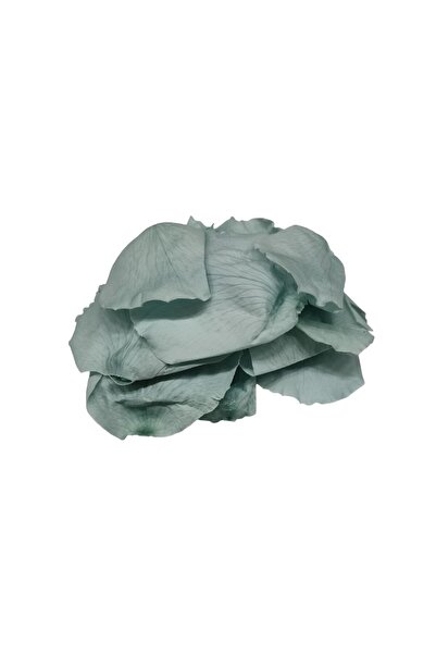 Colorarte Frunziș trandafir, blue ciel, petale, punga 6g,