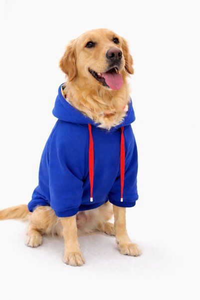 VERAPAWS Big Breed Vera Paws Stay Pawsitive Dog Hoodie Sweatshirt - Blue, Printed, Winter Dog Clothing