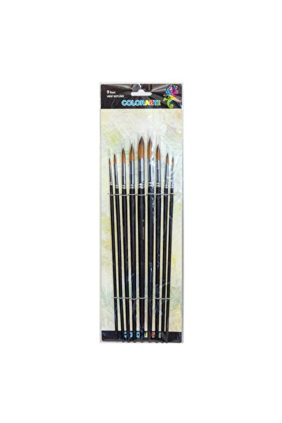 Colorarte Pensula DB19003, varf rotund, set 9 bucati
