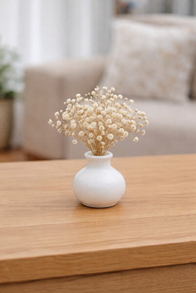 MİRAY FLOWERS HEDİYELİK Modern Dekoratif Masa Cipso Çiçeği Minimal Tasarım(va...