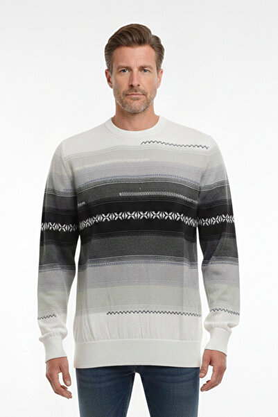 Pulltonic Men's Crew Neck Patterned Slim Sweater