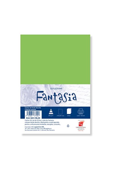 Colorarte Carton special colorat A4 Fantasia, 200g/mp, verde deschis, top 50 ...