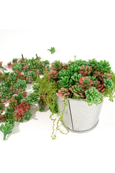 Choice1 40pcs 24pcs/40pcs Mini Succulent Ornaments, Miniature Landscape Scene...
