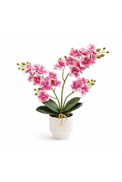 Choice زهرة فالاينوبسيس صناعية واحدة مقاس 16 بوصة، زهرة أوركيد صناعية للمكتب ...