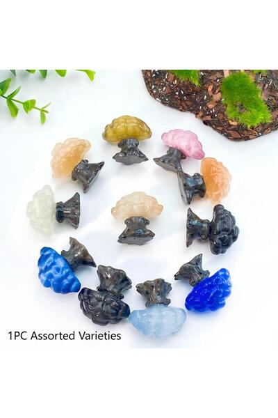 Choice قطعة واحدة عشوائية من شجرة عين القط، قطعة واحدة منحوتة من حجر عين القط...