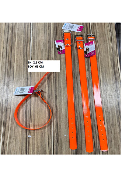 VET PLASTİK KAPLI SAĞLAM KÖPEK TASMASI