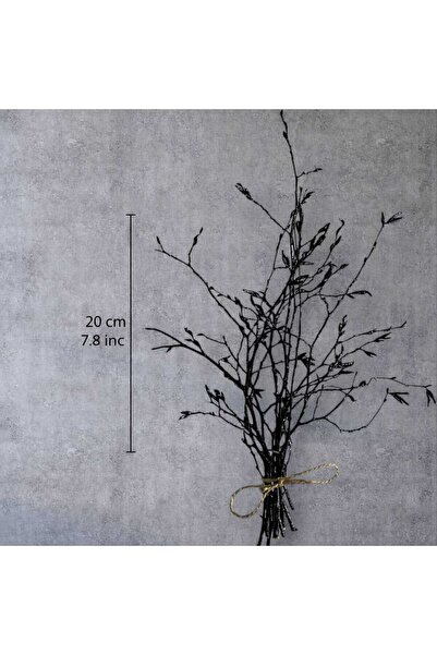 KumKum Doğal Siyah Kuru Gürgen Dalı Dekoru (20 cm)-Doğal ve Estetik Bitki Par...