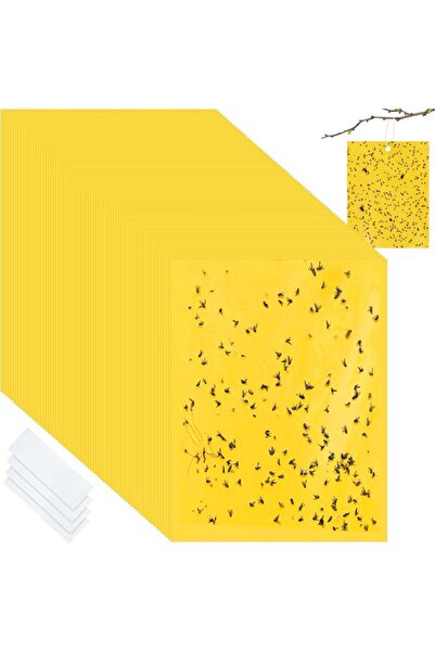 Choice 50pcs Sticky Insect Board Powerful Flycatcher Yellow Blue Sticker Shee...