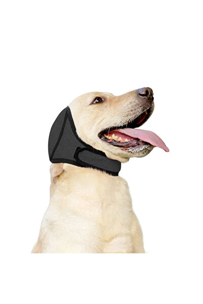 choice2 L Grey Waterproof Noise Cancelling Dog Ear Muffs for Swimming Anti-Sh...