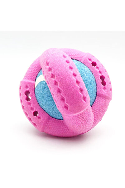 Choice لعبة كلب صغيرة من المطاط الرغوي، لونها أحمر وردي، تحتوي على أربع كرات ...