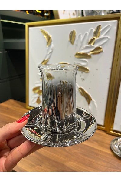 P&ORA PREMIUM KITCHEN PRODUCTS Zeo Silver Titanium Tea Set for 6 People